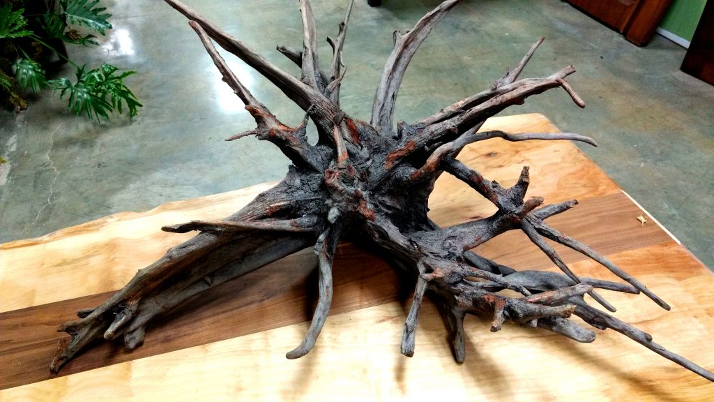 Roots of AppWood Learn About AppWood Custom Woodwrok